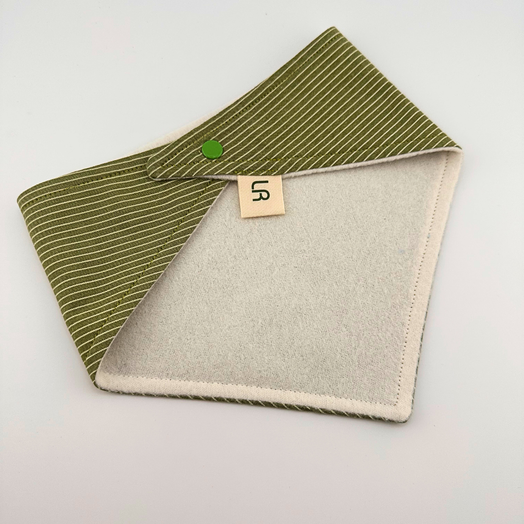 Green Stripe Bandana Bib