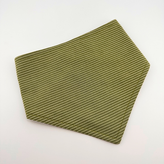 Green Stripe Bandana Bib